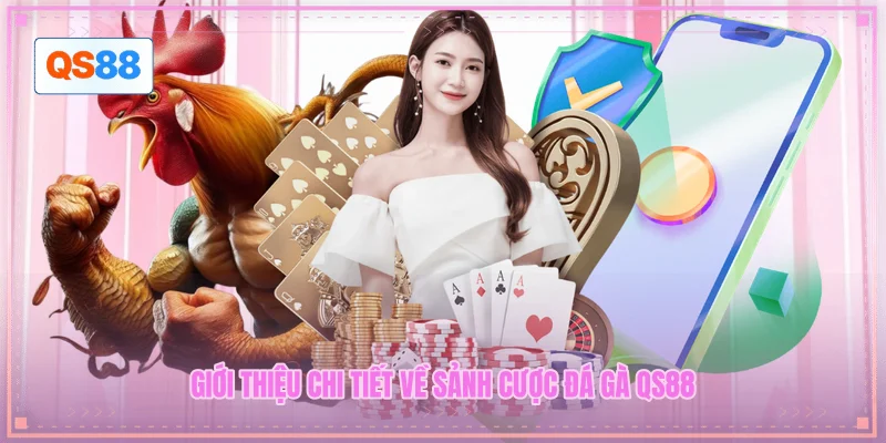 Giới thiệu chi tiết về sảnh cược đá gà QS88 Giới thiệu chi tiết về sảnh cược đá gà QS88