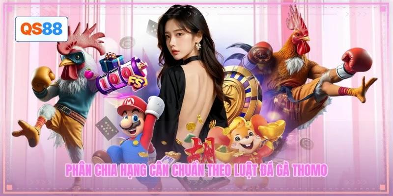 Phân chia hạng cân chuẩn theo luật đá gà Thomo Phân chia hạng cân chuẩn theo luật đá gà Thomo