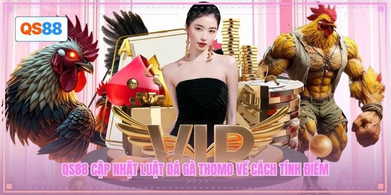 QS88 cập nhật luật đá gà Thomo về cách tính điểm QS88 cập nhật luật đá gà Thomo về cách tính điểm